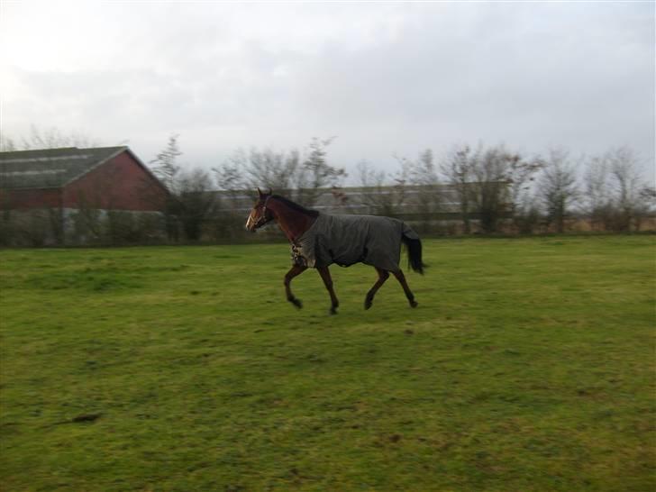 Traver Gi Vert *SOLGT* - Nyt 01-12-08 billede 13