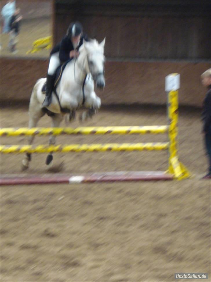Anden særlig race Paula (Red) - <33 billede 14