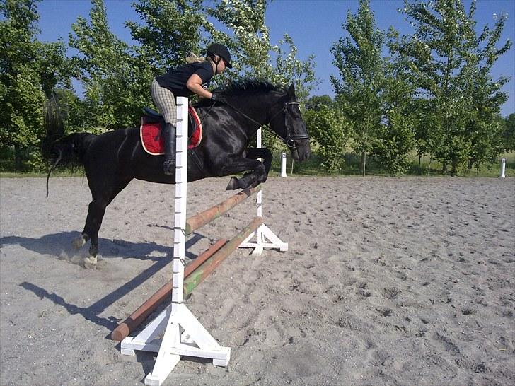 Oldenborg FREJA<3 - freja & nanna sommer 2010 billede 13