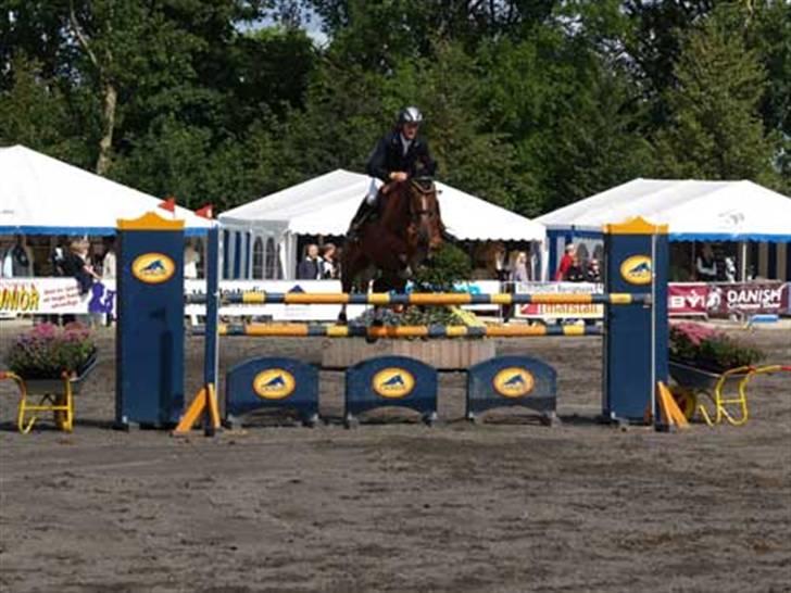 Anden særlig race Acorde Z - AFLIVET - Stævne på Vilhemsborg. billede 13