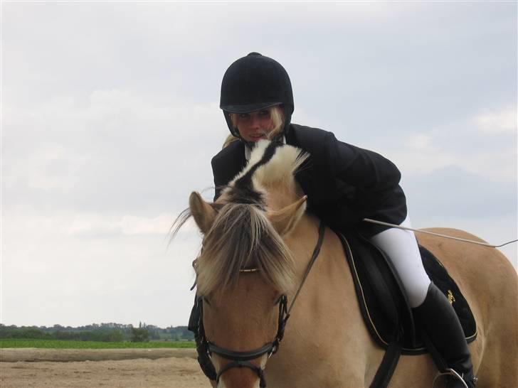 Fjordhest Grisling - Min lille bandit! <3 billede 5