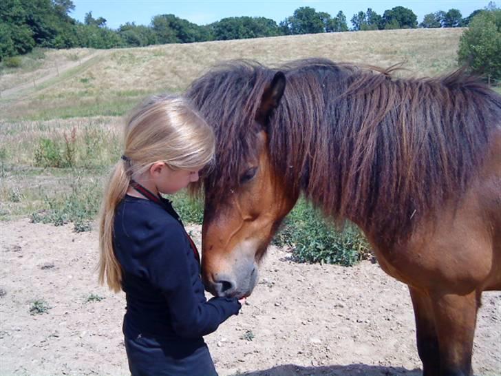 Islænder Björn fra Lerkjær - Mig og Bjørn<,3 billede 10