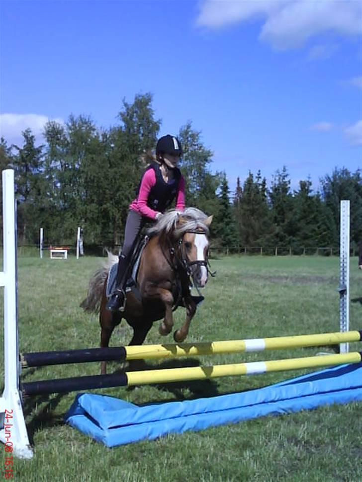 Anden særlig race Jamaica(red før sommer08) - foto: karoline billede 19