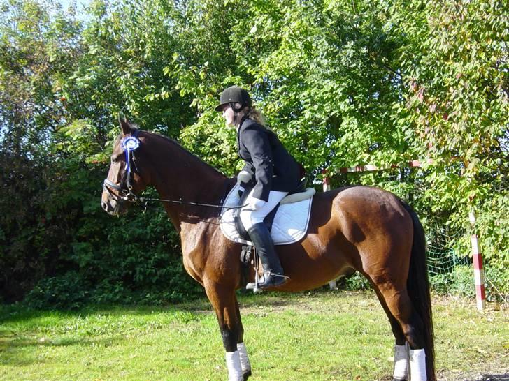 Oldenborg Flexie Vestergård - første stævne med Camilla Bing - Lb1 - 2plads  billede 15