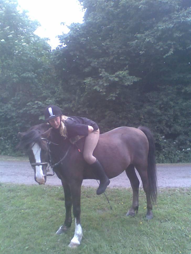 Anden særlig race Gilbert<3<3<3 hans erik's - lige lidt hygge:D billede 2