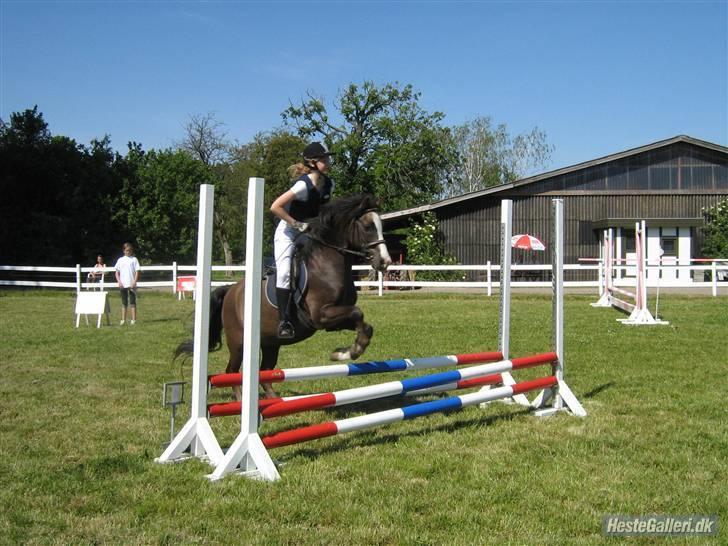 Anden særlig race Gilbert<3<3<3 hans erik's - til kIR stævnet.:D billede 5