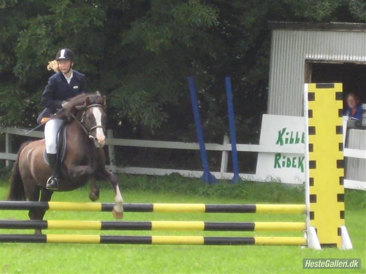 Anden særlig race Gilbert<3<3<3 hans erik's - se hans små ørerNUURH!(L) billede 6