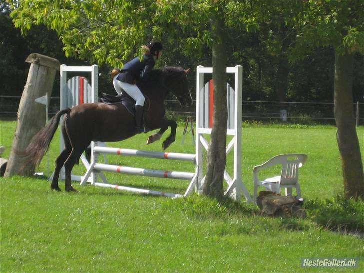 Anden særlig race Gilbert<3<3<3 hans erik's - LD. billede 7