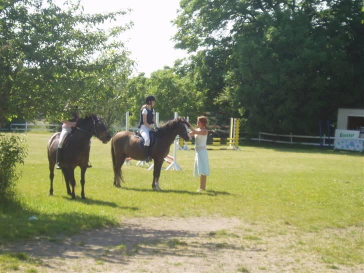 Anden særlig race Gilbert<3<3<3 hans erik's - præmie overrakelse:D billede 8