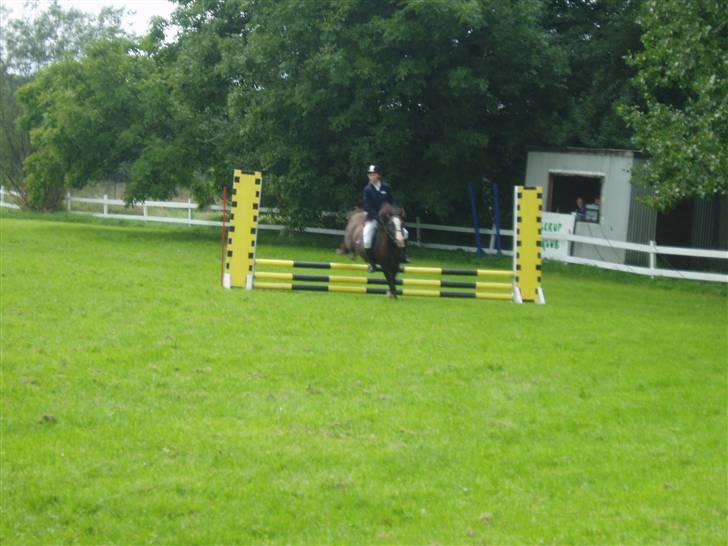 Anden særlig race Gilbert<3<3<3 hans erik's - 2 spring i LD fart over feltet tak!:D billede 9