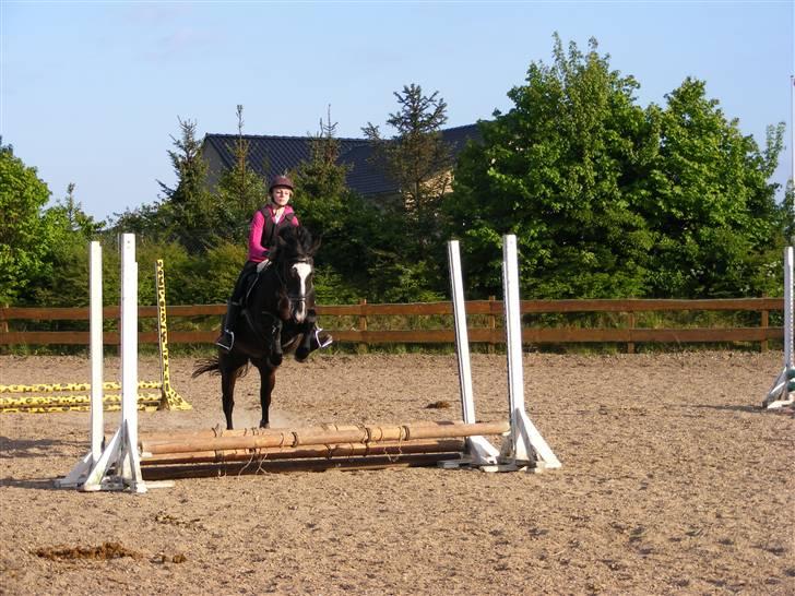 Anden særlig race Blackie - 10) ikke så erfaren endnu, så der bliver sprunget til, haha :D  foto: Tina, maj 08 billede 10