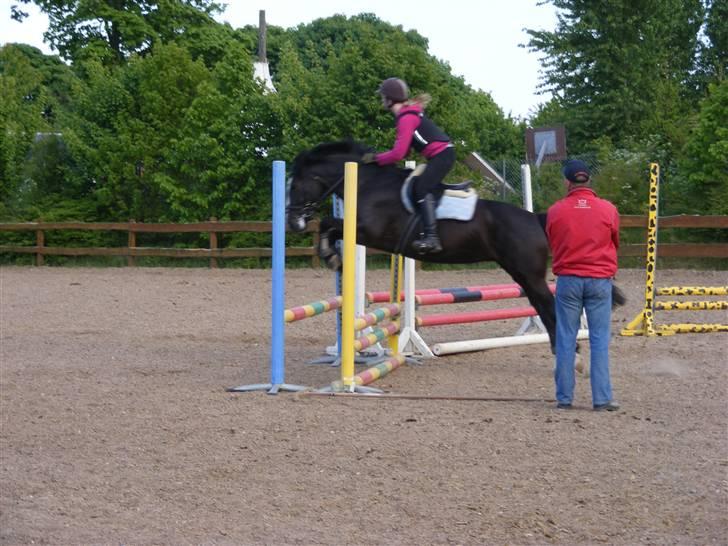 Anden særlig race Blackie - 11) en af de første gange til spring :D foto: Tina, maj 08 billede 11