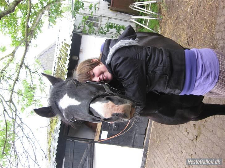 Anden særlig race Cisco <3 Tidl. Part :´( Miss You - 17#PONY elsker dig fordi du kan Alt hvad man kunne ønske sig <3 billede 17