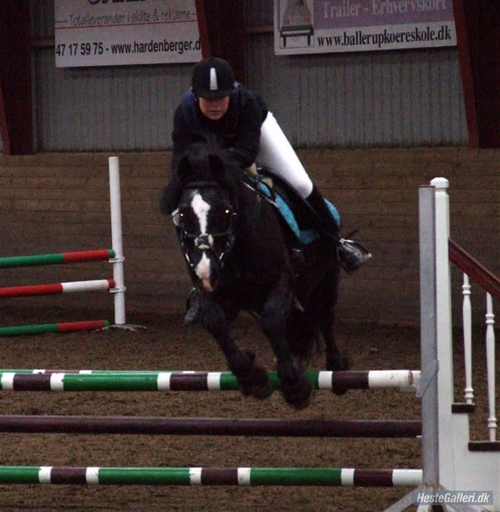 Anden særlig race Cisco <3 Tidl. Part :´( Miss You - 18# Cisco skatter <3 kig på ham så ser du aldrig sådan en pony igen <3 billede 18