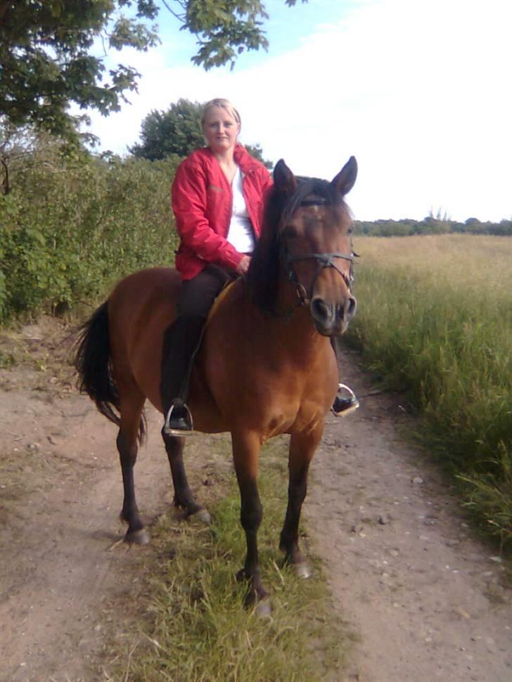 Anden særlig race Jane - ger var jeg lige ude og ride en tur på min gamle tykke pony. 25/6-08 billede 17
