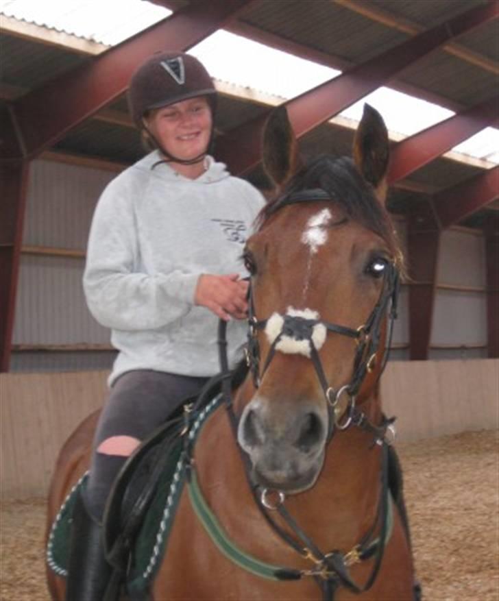 Anden særlig race Ari  - Efter vi har trænet ponygames. :) billede 9