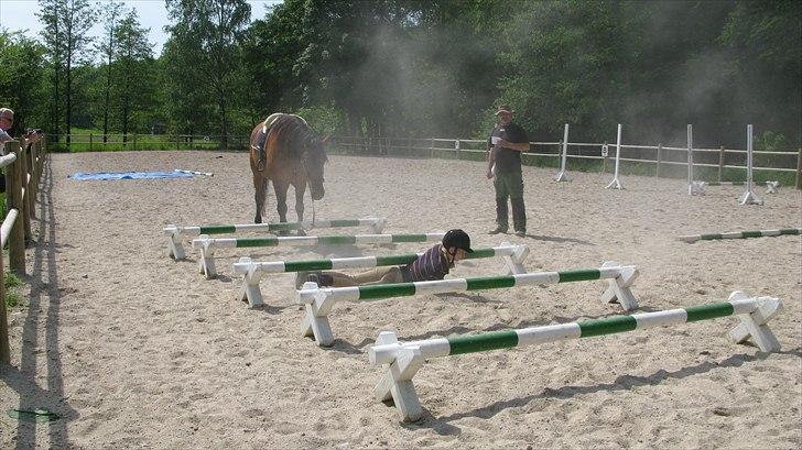 Anden særlig race Claus - Flower Games. ( D. 05.06.10 )  billede 8