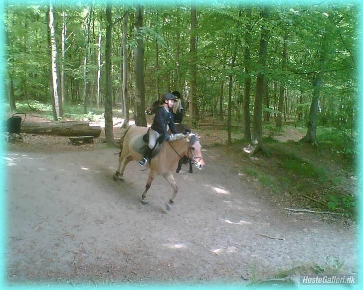 Anden særlig race HURs NOLLE | R.I.P. /':  - 2) To love and be loved, is to feel the Sun from both sides.<3 billede 2