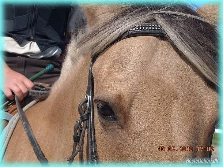 Anden særlig race HURs NOLLE | R.I.P. /':  - 3) When I die, I want to give all my body parts to donate except my heart... Because all this time it belongs only to you <3 billede 3