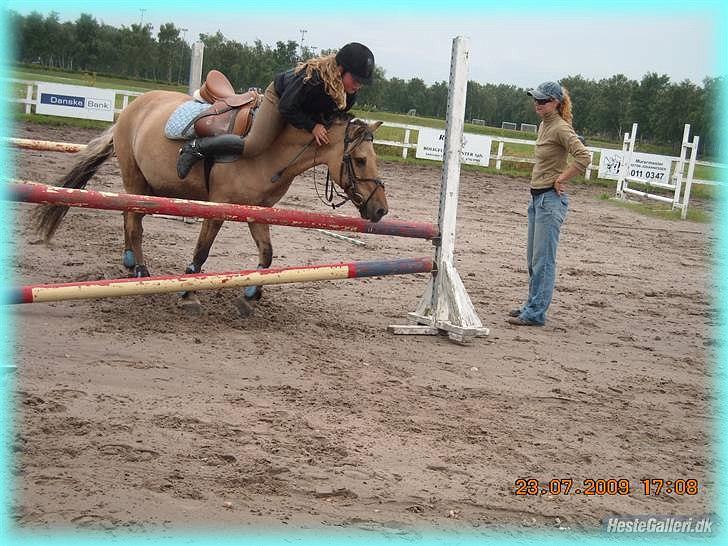 Anden særlig race HURs NOLLE | R.I.P. /':  - 4) You made me love you, by just being you <3 billede 4