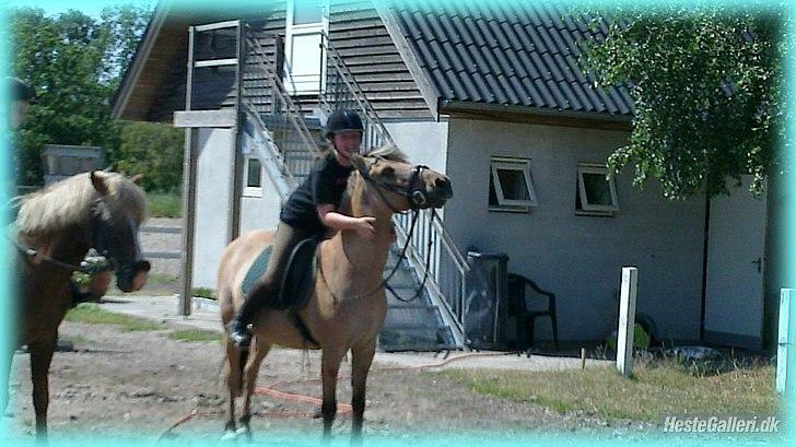 Anden særlig race HURs NOLLE | R.I.P. /':  - 8) The more I live, the more I know, what simple is true; I love you! billede 8