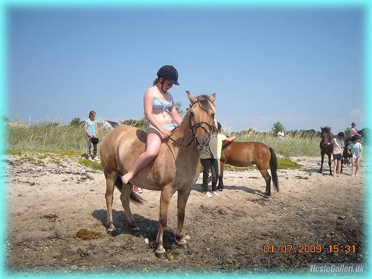 Anden særlig race HURs NOLLE | R.I.P. /':  - 9) Just the thought of being with you tomorrow is enough to get 
me through today.<3 billede 9