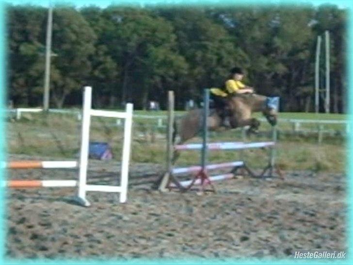 Anden særlig race HURs NOLLE | R.I.P. /':  - 10) If I know what love is, it's because of you :* <3 billede 10