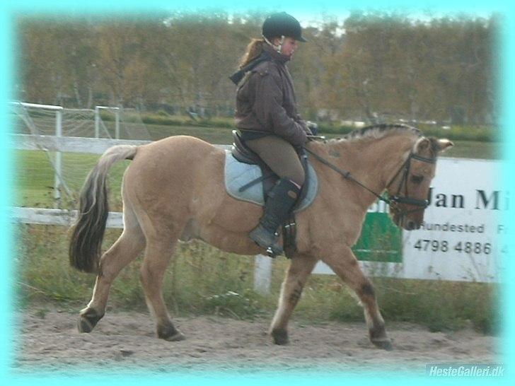 Anden særlig race HURs NOLLE | R.I.P. /':  - 11) Love is not something you feel. It's something you do.<3 billede 11