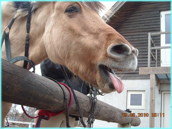 Anden særlig race HURs NOLLE | R.I.P. /':  - 12) Love is what we were born with. Fear is what we learned 
here.<3 billede 12