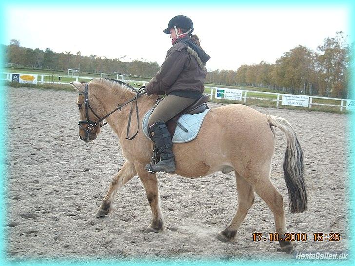 Anden særlig race HURs NOLLE | R.I.P. /':  - 13) Never forget that the most powerful force on earth is love.<3 billede 13