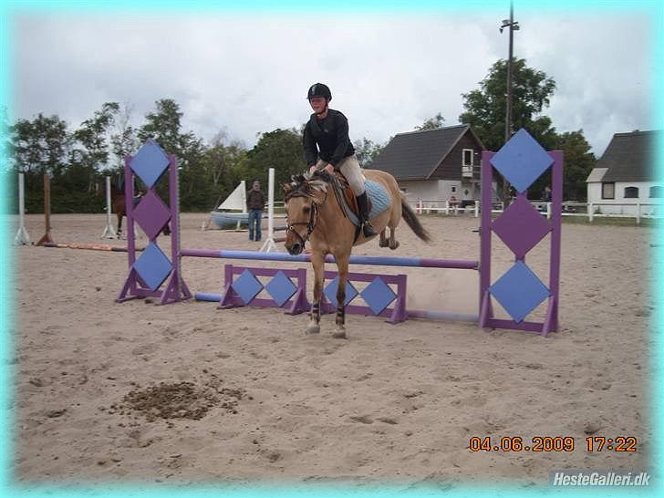 Anden særlig race HURs NOLLE | R.I.P. /':  - 14) Love is all we need<3 billede 14