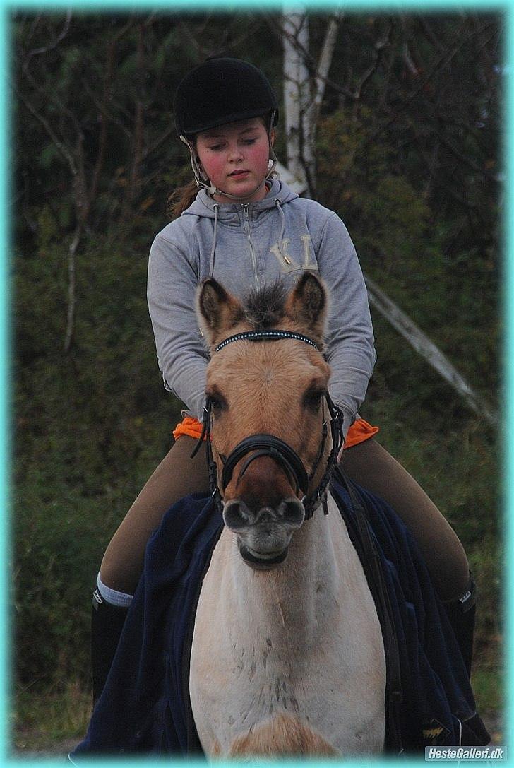 Anden særlig race HURs NOLLE | R.I.P. /':  - 15) As the morning becomes the day and the evening becomes the night, and everything in between, I love you.<3 Foto: Maria Schjerning. <3 billede 15