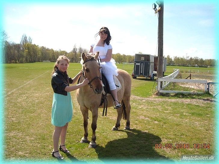 Anden særlig race HURs NOLLE | R.I.P. /':  - 16) To be your friend was all I ever wanted. To be your lover was all I ever dreamed I: <3 billede 16