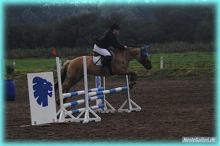 Anden særlig race HURs NOLLE | R.I.P. /':  - 17) I need to tell you everyday how I feel about you because one day I might not be able to.<3 Fotograf: Maria Schjerning. <3 billede 17