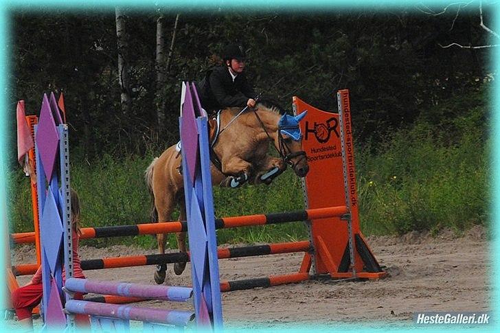 Anden særlig race HURs NOLLE | R.I.P. /':  - 18) The pain you have, I will heal,
anything you want, I can deal,
I can make you happy, I can make you sad,
but anything you do will never be bad.<3 Fotograf: Maria Schjerning.<3 billede 18