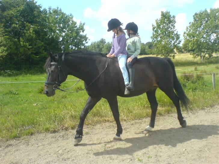 Anden særlig race Petruska - Min lille søster og Marlene skridter lige lidt på tøsen :b FOTO: mig billede 15