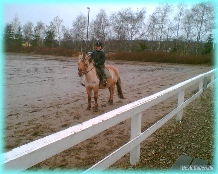 Anden særlig race HURs NOLLE | R.I.P. /':  - 19) What lies behind us, and what lies before us are tiny matters compared to what lies within us <3 billede 19