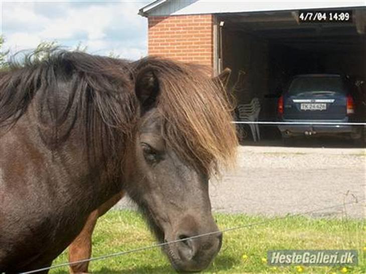 {{currentPhoto.altText}} billede {{currentPhoto.number}}