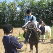 Anden særlig race dixie rider ikke mere 