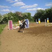 Anden særlig race dixie rider ikke mere 