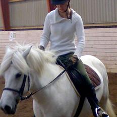 Anden særlig race Lucky