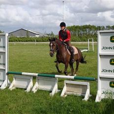Anden særlig race lady