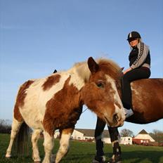 Anden særlig race Faurlunds Filippa R.I.P