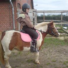 Anden særlig race Faurlunds Filippa R.I.P