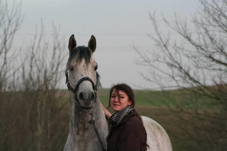 Shagya Araber (SH) Perseus - Avlshingst - Min veninde, som har taget de fleste af billederne, her sammen med Perseus - fotograf : Mig ;) billede 18