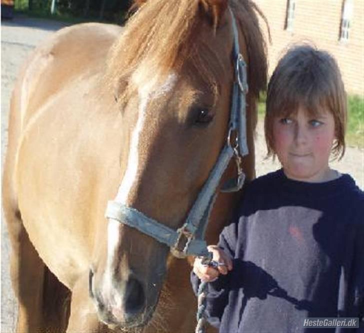 Anden særlig race Tasja •SOLGT• - Welkommen til Tasjas profil! billede 1