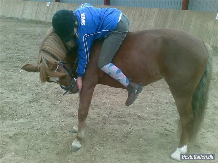 Anden særlig race Tasja •SOLGT• - Sidste dag med sinita Jeg blev forkælet lidt billede 6