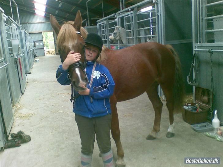 Anden særlig race Tasja •SOLGT• - Hygge sidste dag billede 11