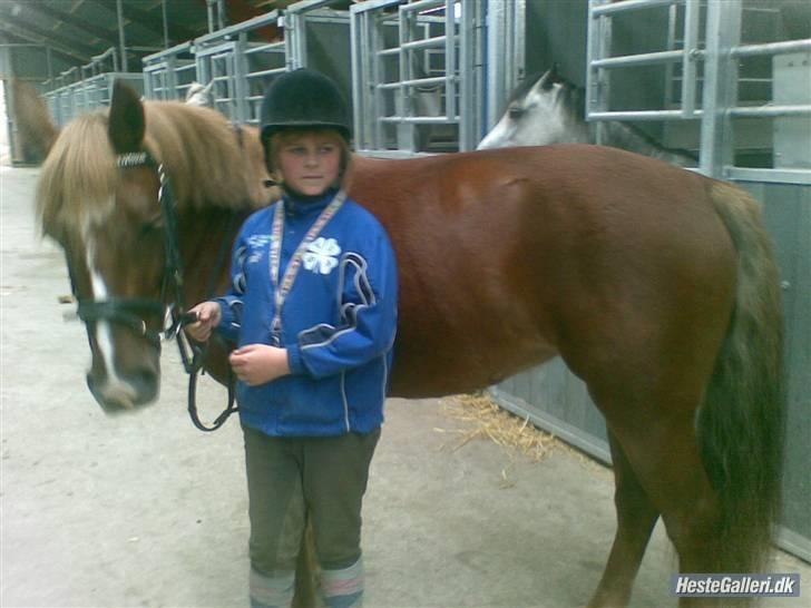 Anden særlig race Tasja •SOLGT• - Hygge sidste dag billede 13