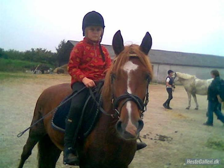 Anden særlig race Tasja •SOLGT• - Mig og sinita hun er på 9 år billede 15